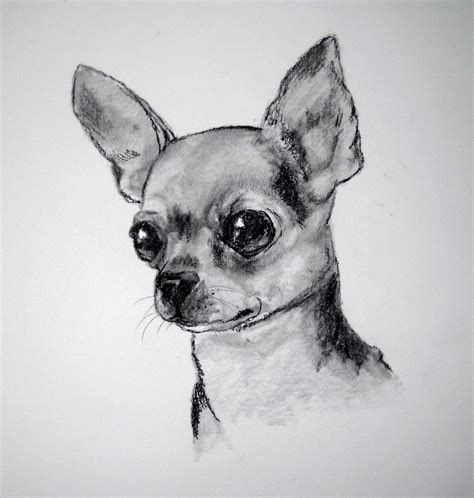 dibujos con lapiz de perros